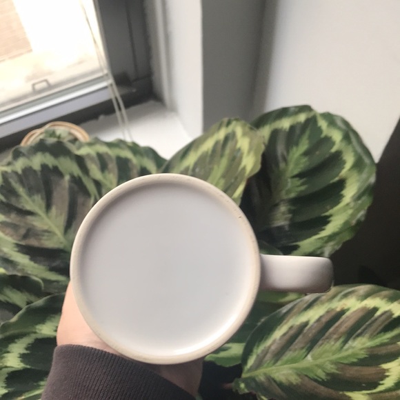 Sexuality Mug Take Your Pleasure Seriously - Picture 4 of 7